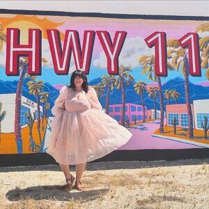 Selkie Pink Organza Dress